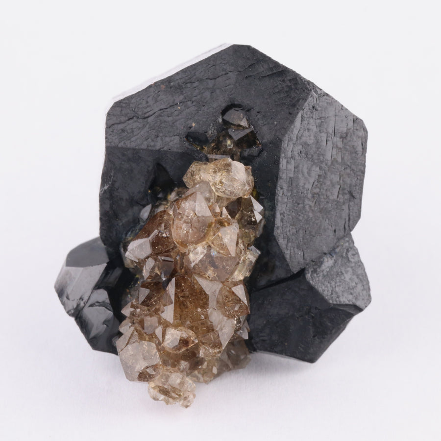Quartz on Schorl - photo 2