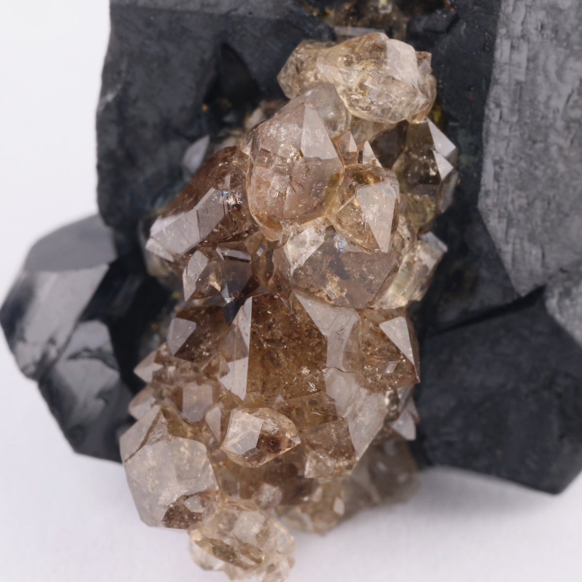 Quartz on Schorl - photo 3