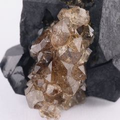 Quartz on Schorl - photo 3