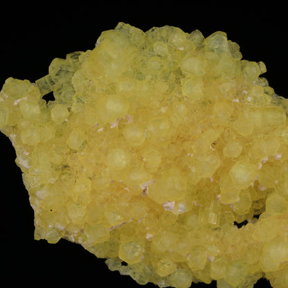 Ettringite Cluster