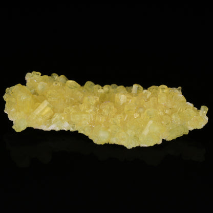 Ettringite Cluster