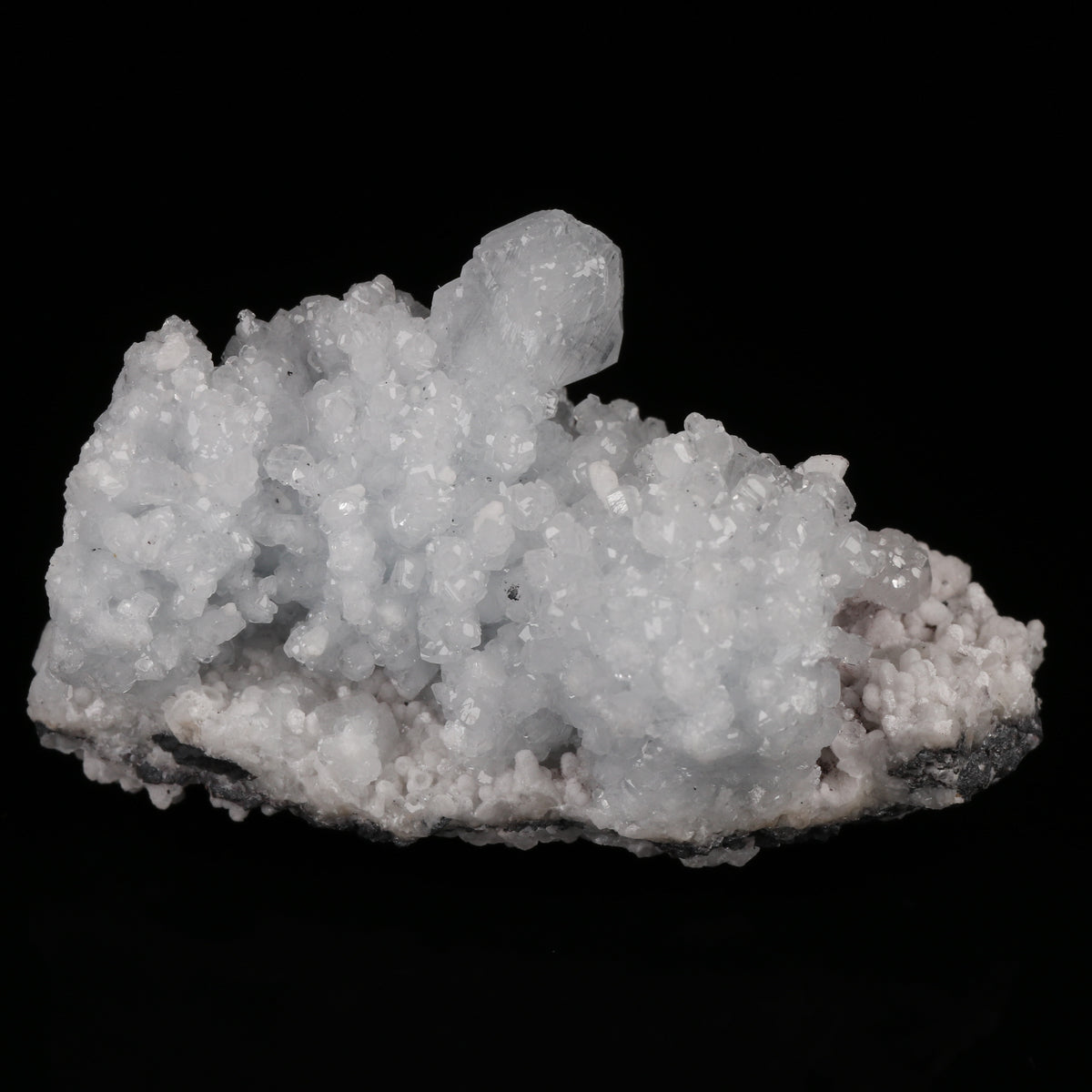 Celestine on Matrix
