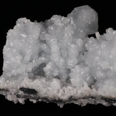 Celestine on Matrix