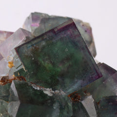 Zoned Fluorite Cluster