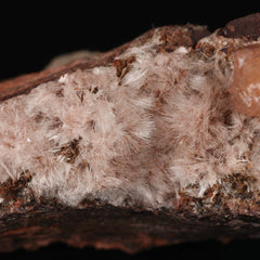 Olmiite & Bultfonteinite on Matrix