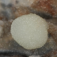 Quartz Drusy on Smithsonite