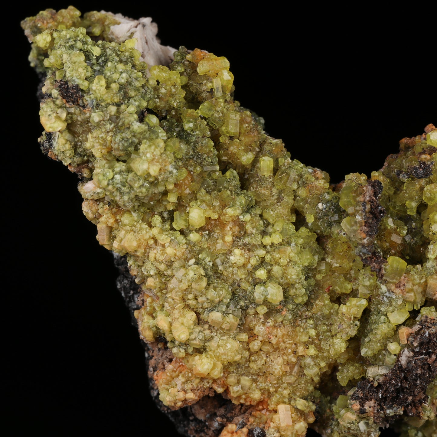 Ettringite on Manganite, N'Chwaning II Mine, Kalahari Manganese Field, Northern Cape, South Africa.