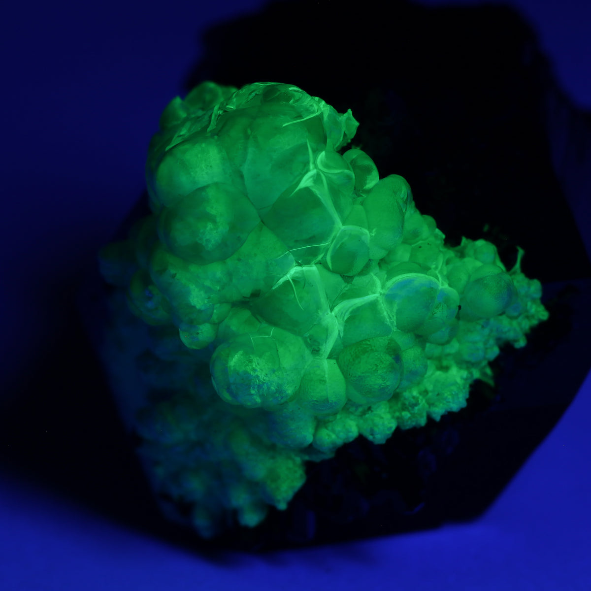 Opal-AN on Schorl