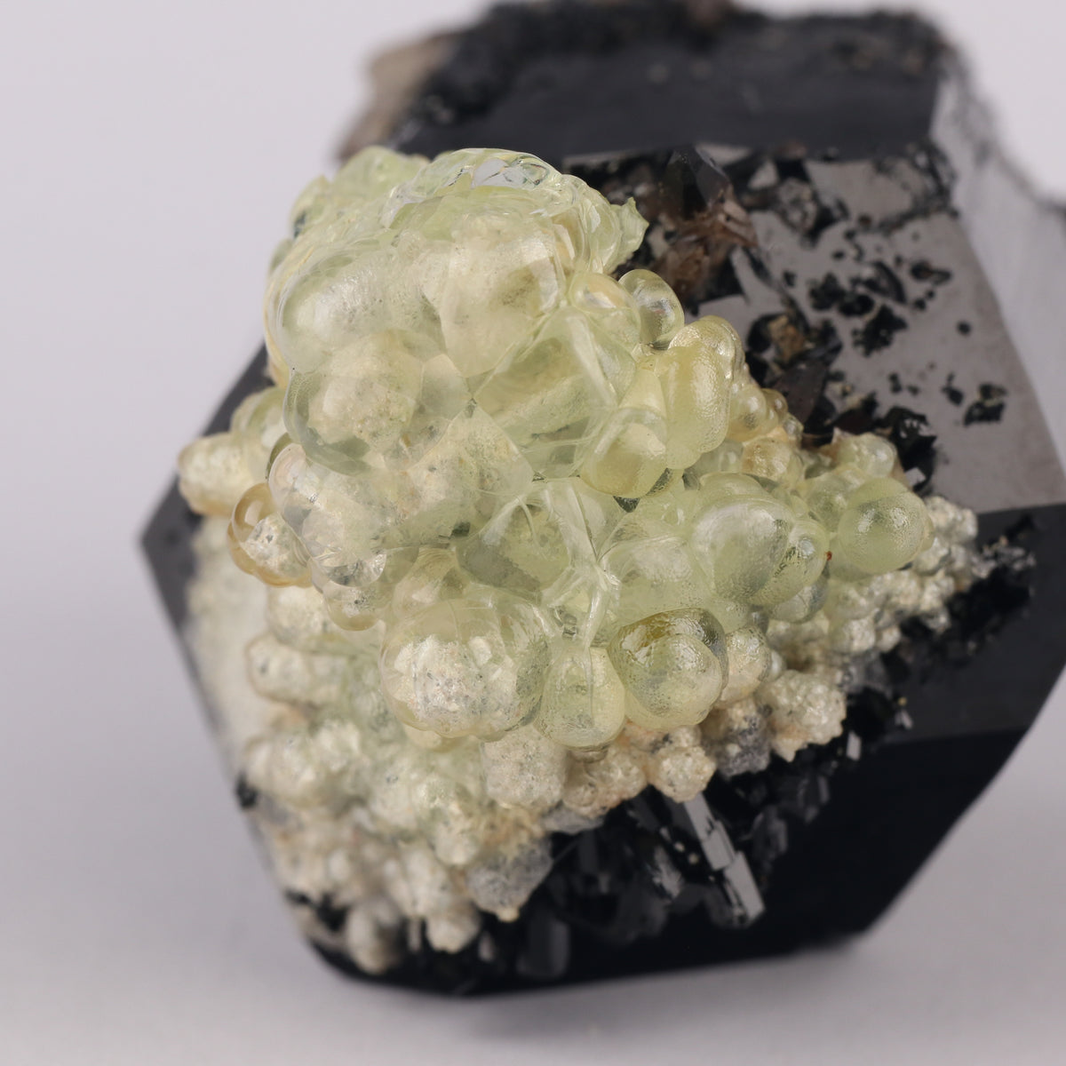 Opal-AN on Schorl