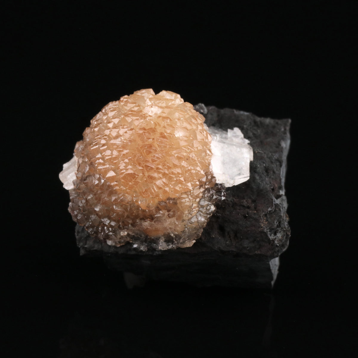 Olmiite - photo 1