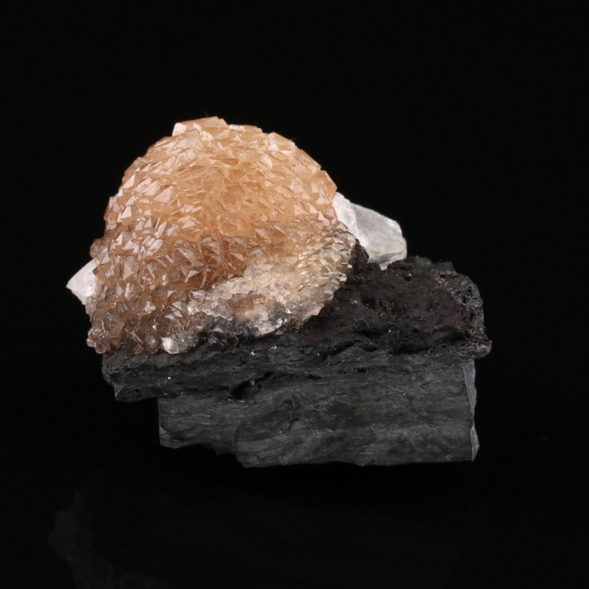 Olmiite - photo 2
