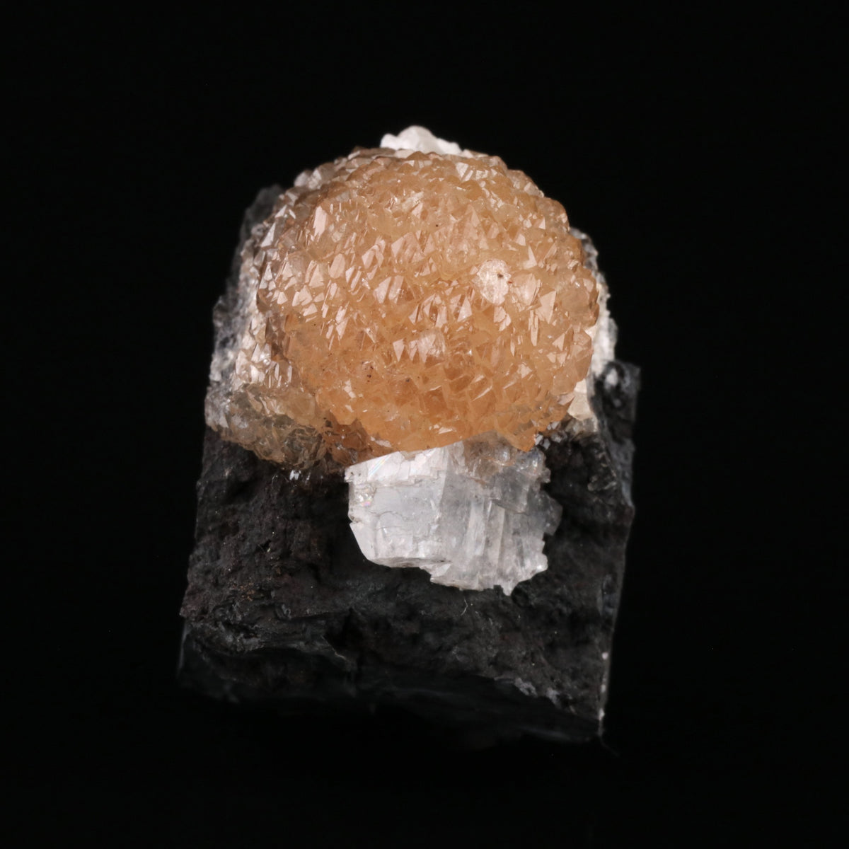 Olmiite - photo 4