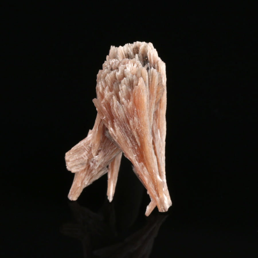 Inesite - photo 1