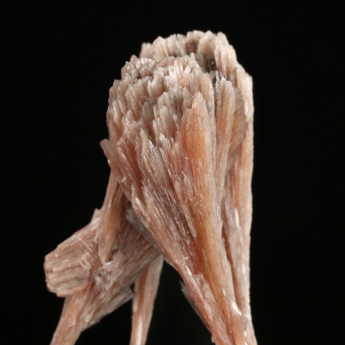 Inesite - photo 2