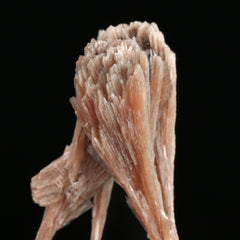 Inesite - photo 2