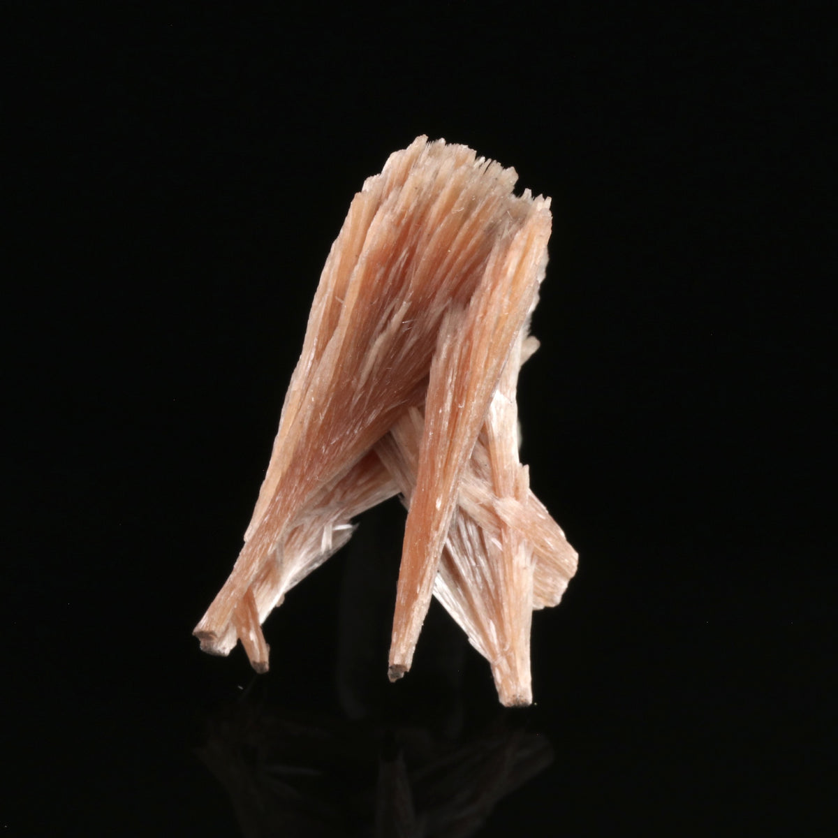 Inesite - photo 3