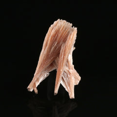 Inesite - photo 3