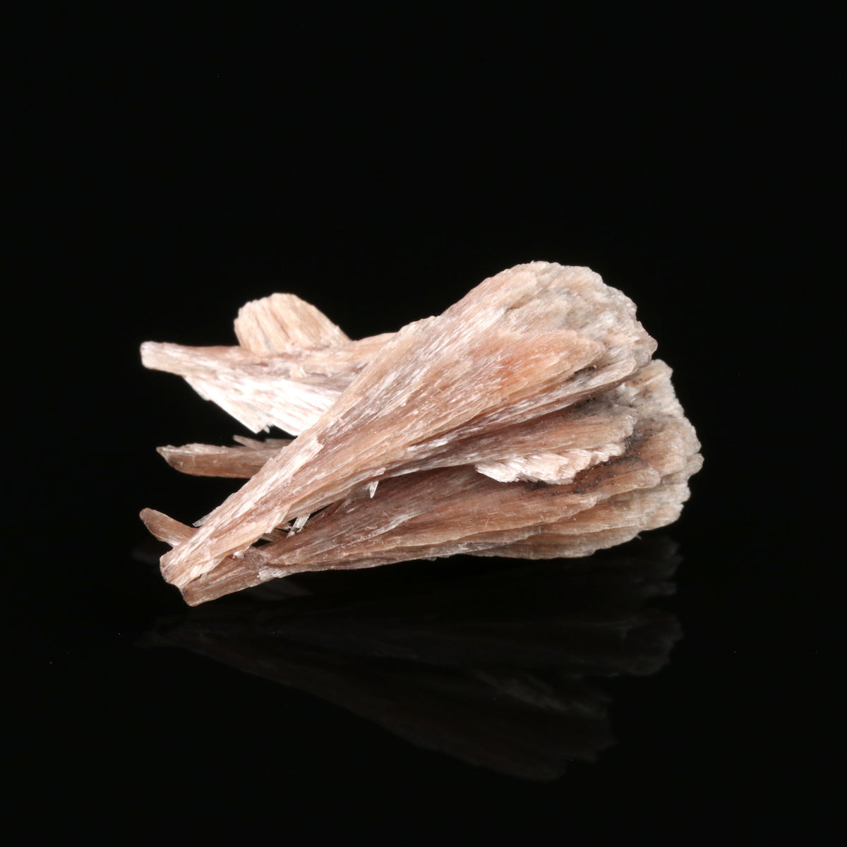 Inesite - photo 4
