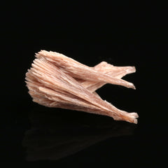 Inesite - photo 5