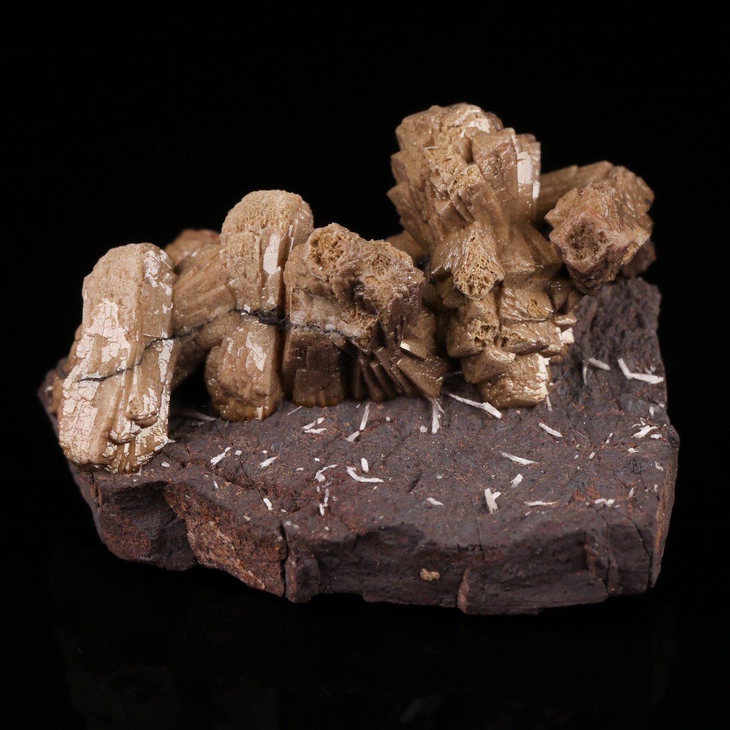 Bultfonteinite, Olmiite on Matrix