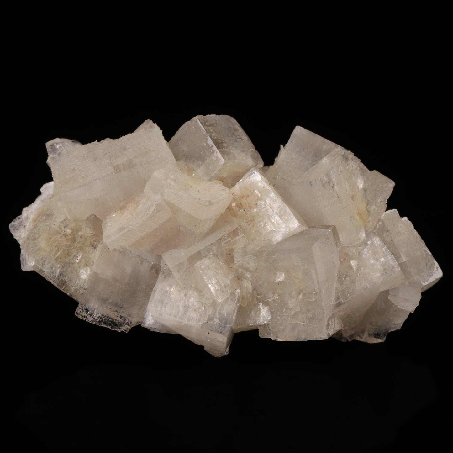 Hydroxyapophyllite Cluster