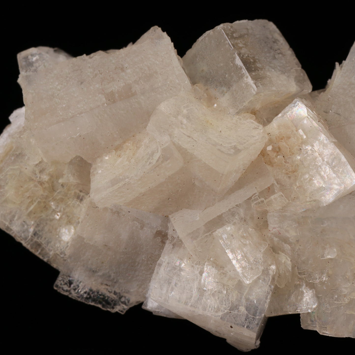 Hydroxyapophyllite Cluster