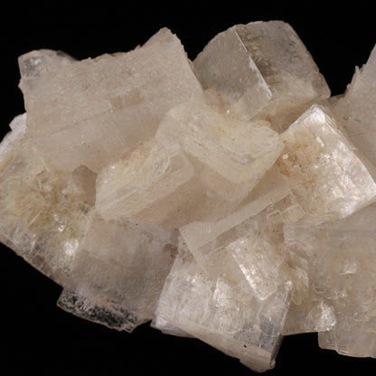 Hydroxyapophyllite Cluster