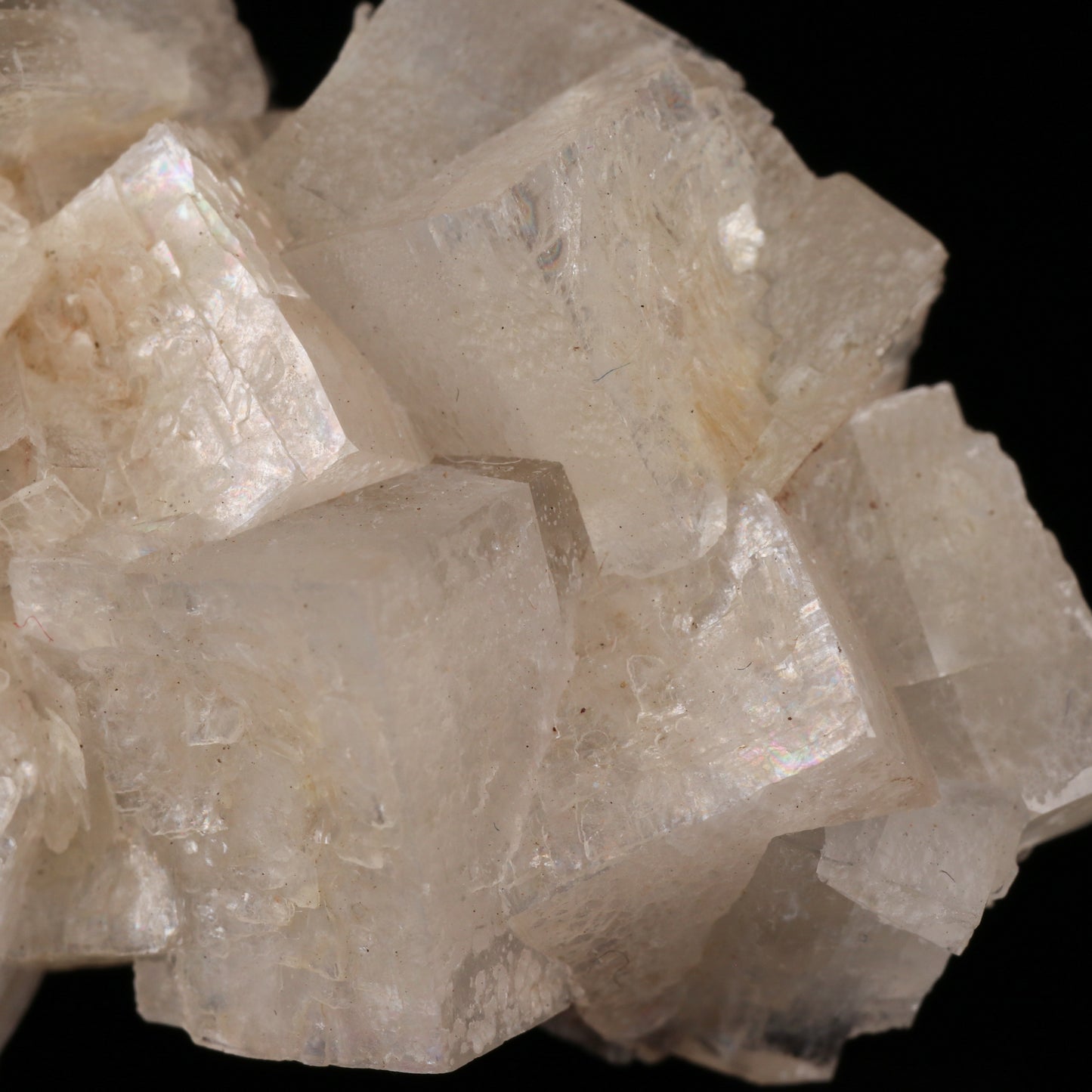 Hydroxyapophyllite Cluster