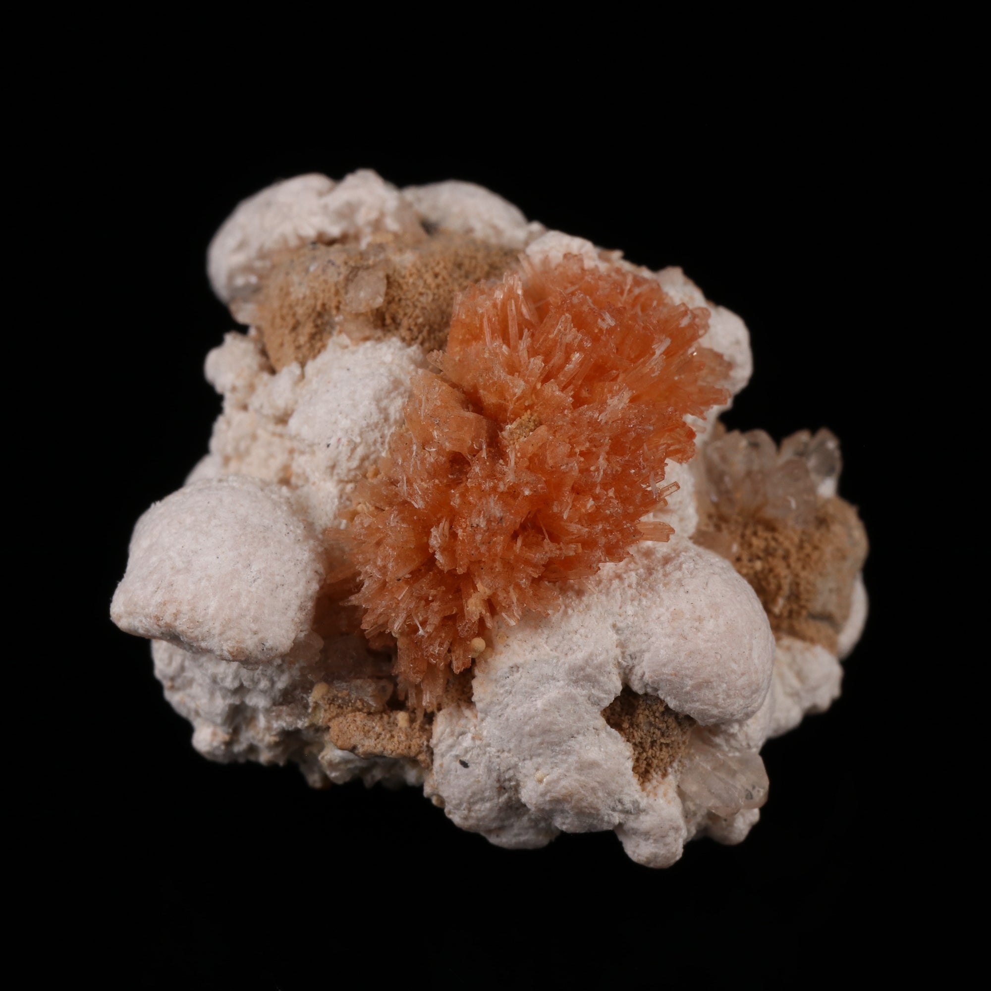 Inresite Inesite & Xonotlite – SA Mineral Shop
