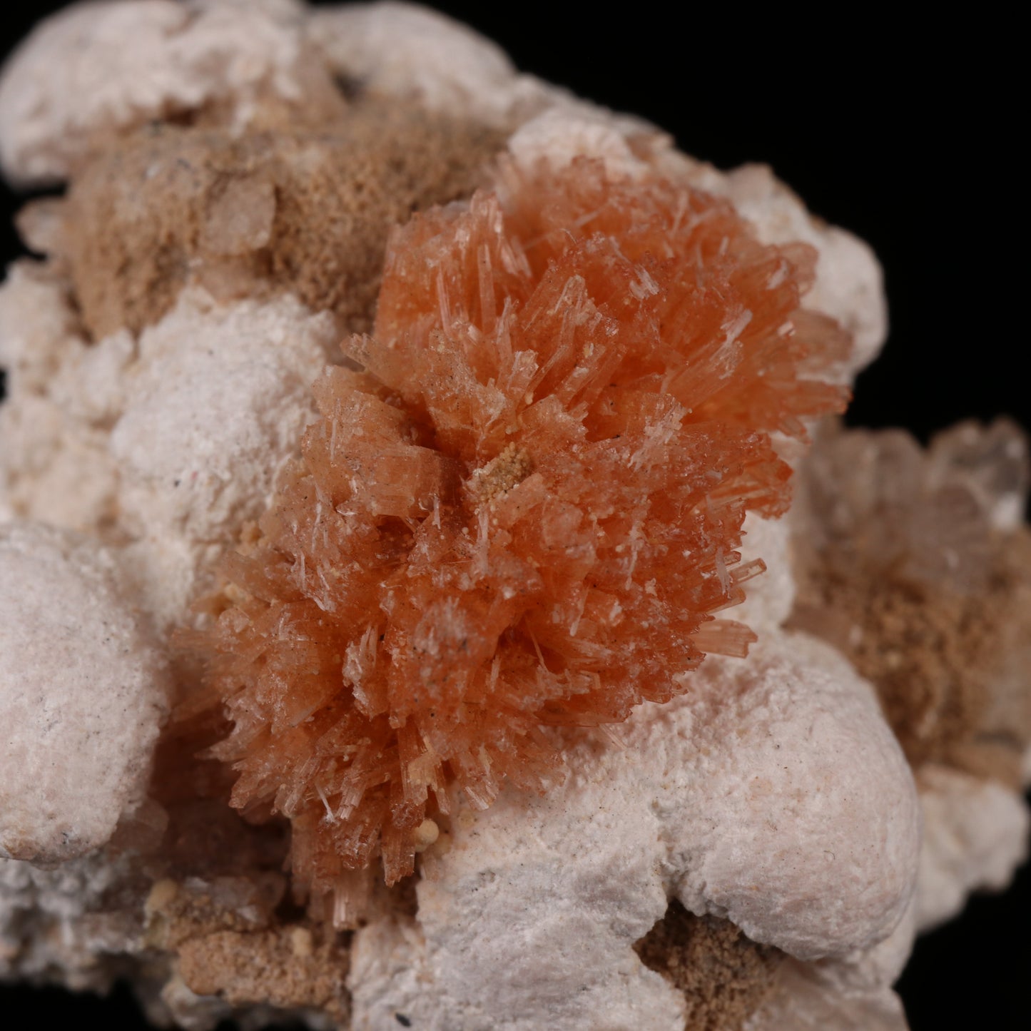 Inesite & Xonotlite, Wessels Mine, Kalahari Manganese Field, Northern Cape, South Africa