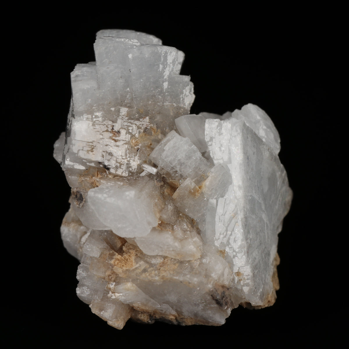 Celestine on Matrix