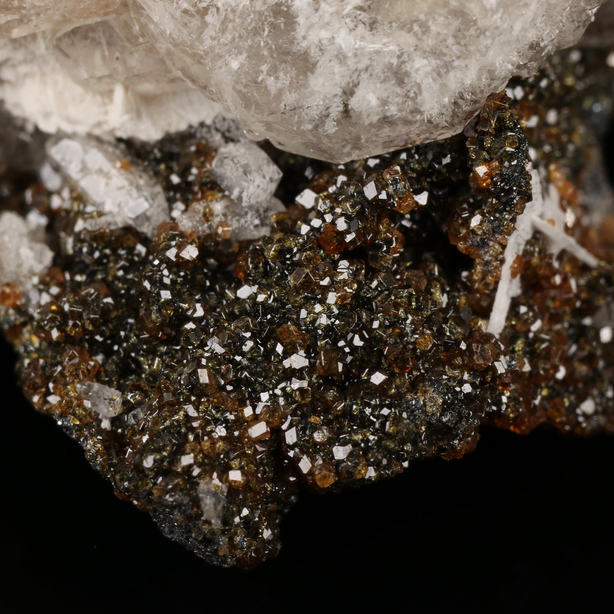 Calcite on Andradite on Matrix