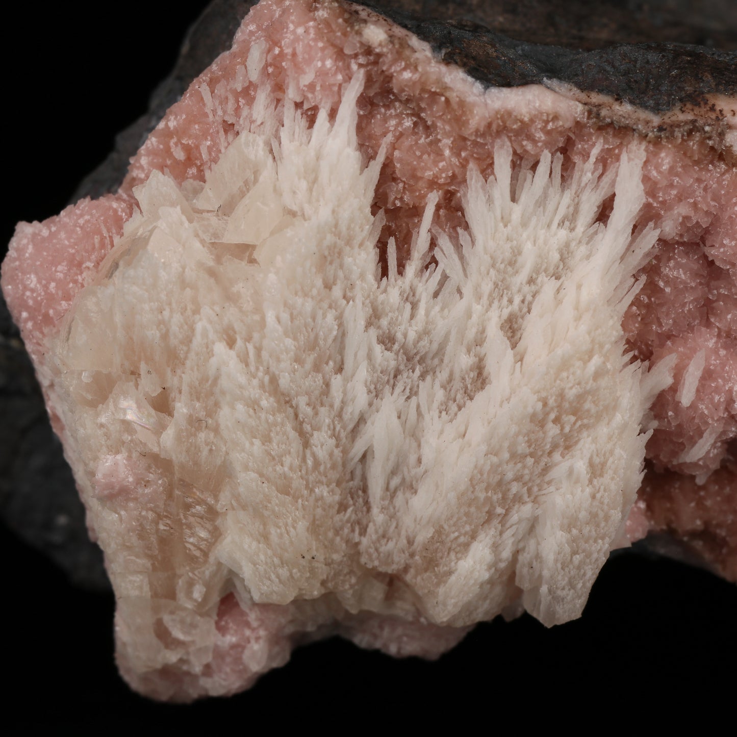 Calcite on Rhodochrosite on Matrix, Wessels Mine, Kalahari Manganese Field, Northern Cape, South Africa