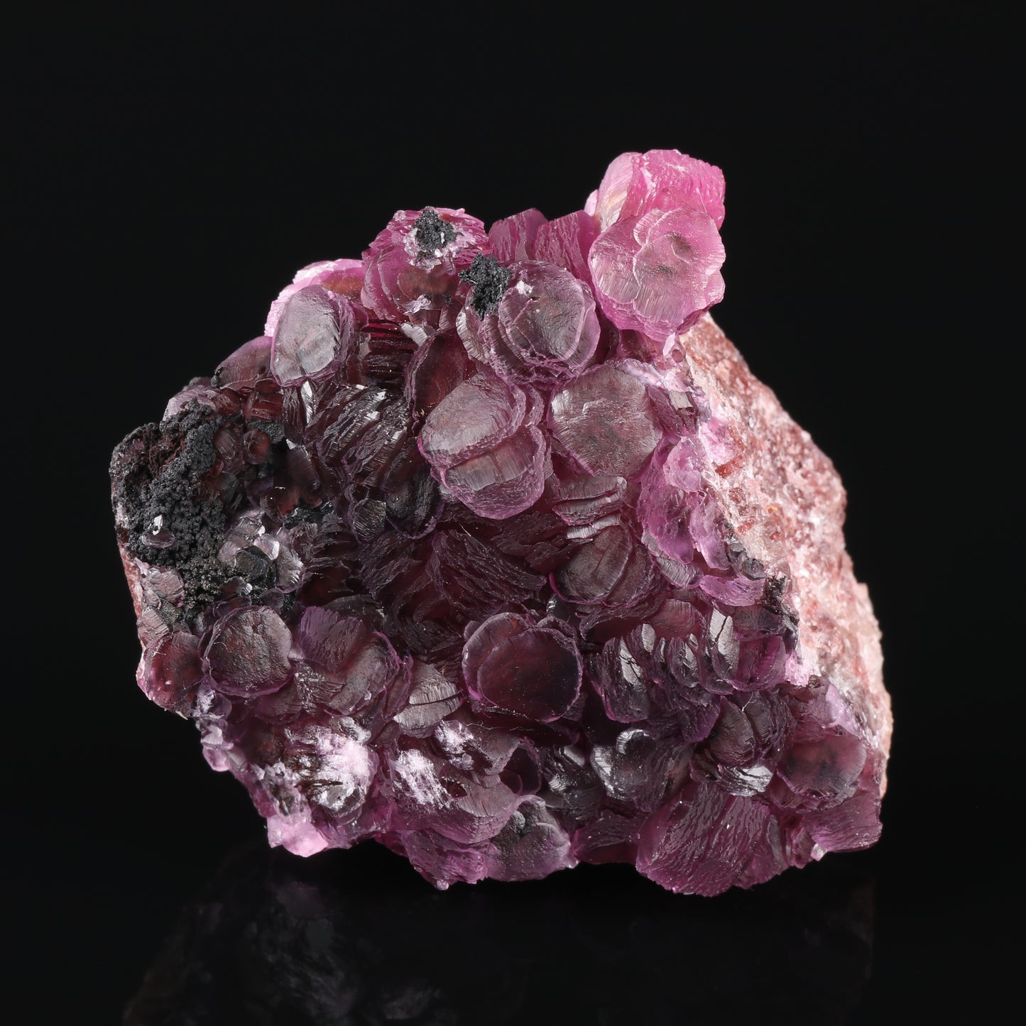 Heterogenite on Cobaltoan Calcite