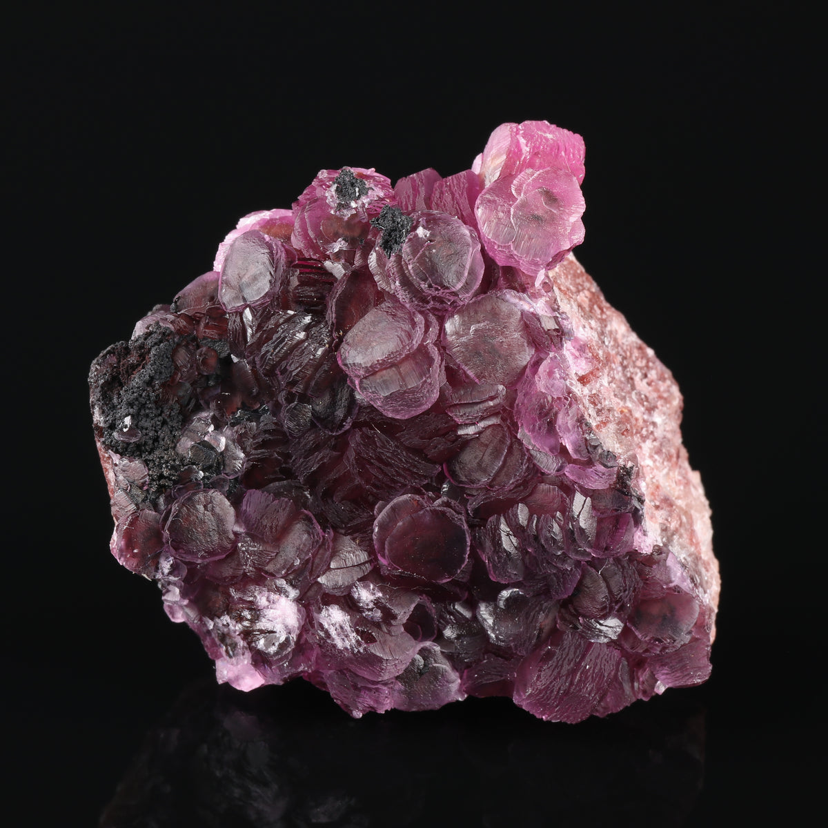 Heterogenite on Cobaltoan Calcite