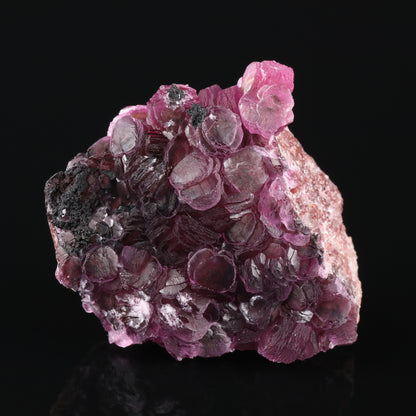 Heterogenite on Cobaltoan Calcite