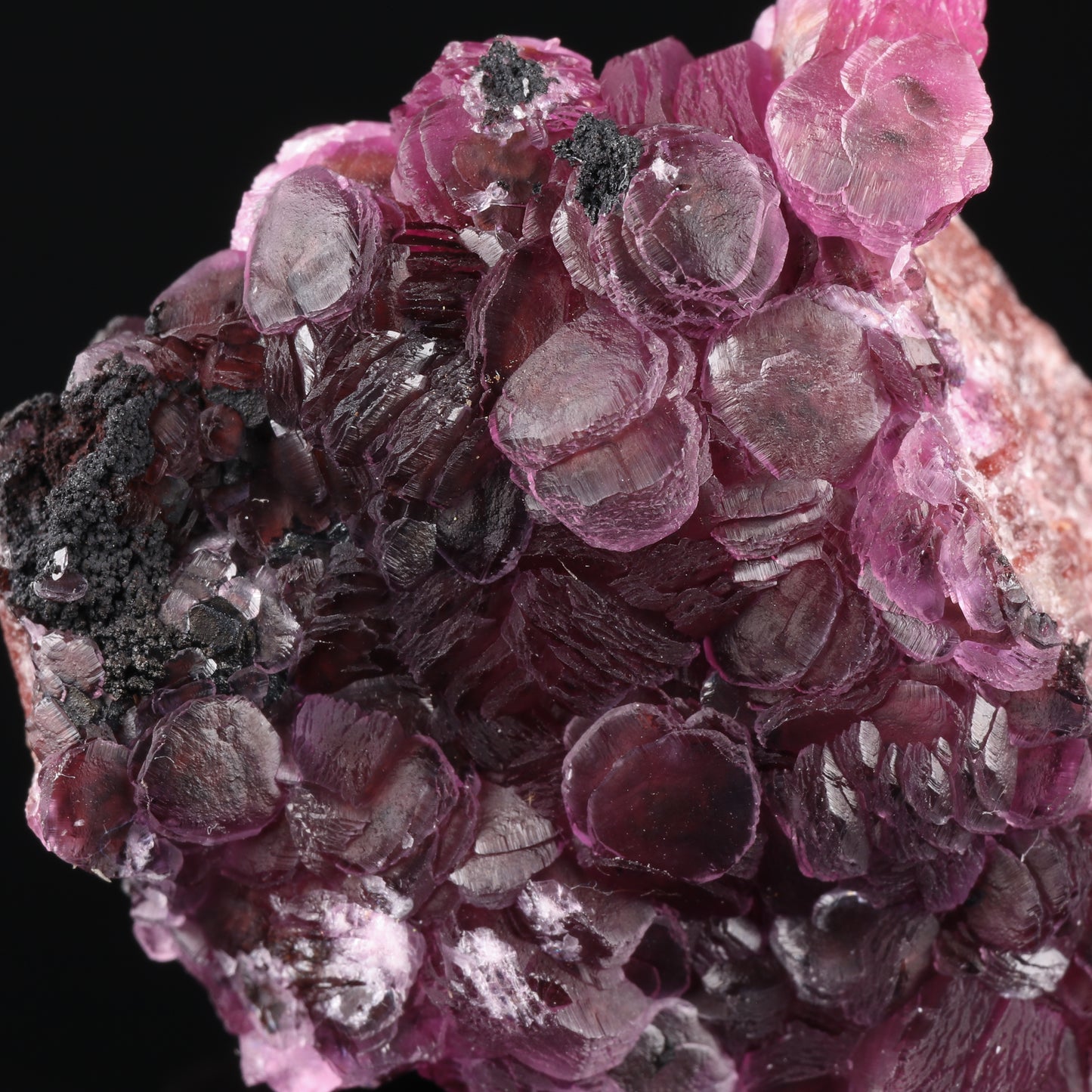 Heterogenite on Cobaltoan Calcite