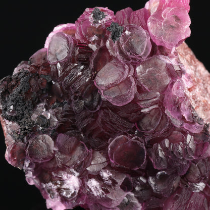 Heterogenite on Cobaltoan Calcite