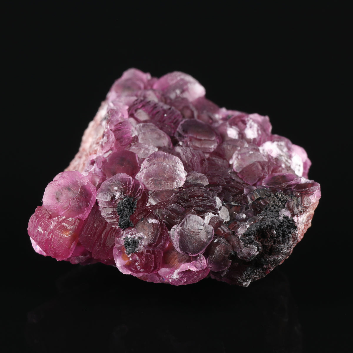 Heterogenite on Cobaltoan Calcite