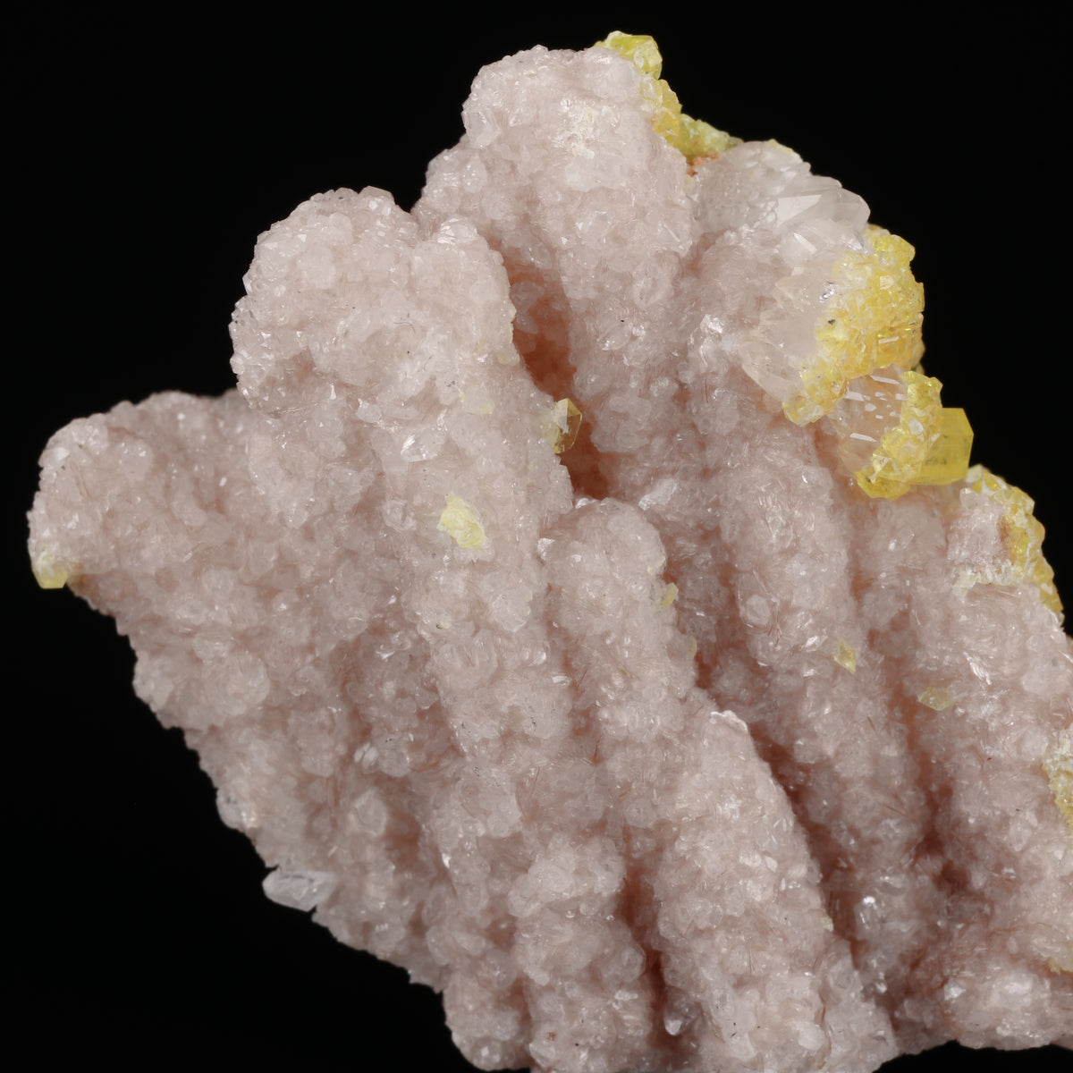 Ettringite on Calcite