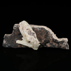 Oyellite with Ettringite