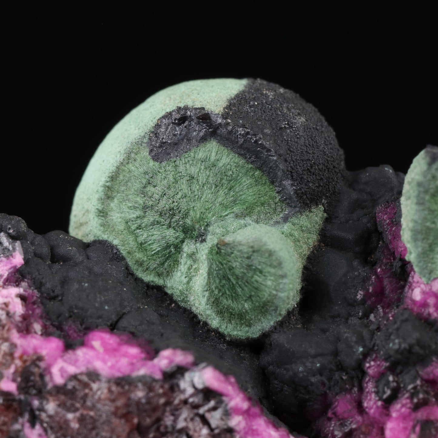 Heterogenite on Malachite with Cobaltoan Calcite	Mashamba West Mine, Sicomines copper-cobalt project, Mutshatsha, Lualaba, DR Congo