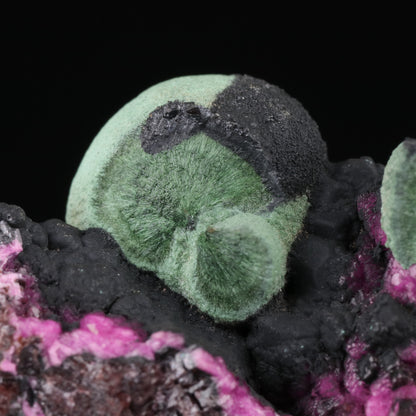 Heterogenite on Malachite with Cobaltoan Calcite	Mashamba West Mine, Sicomines copper-cobalt project, Mutshatsha, Lualaba, DR Congo
