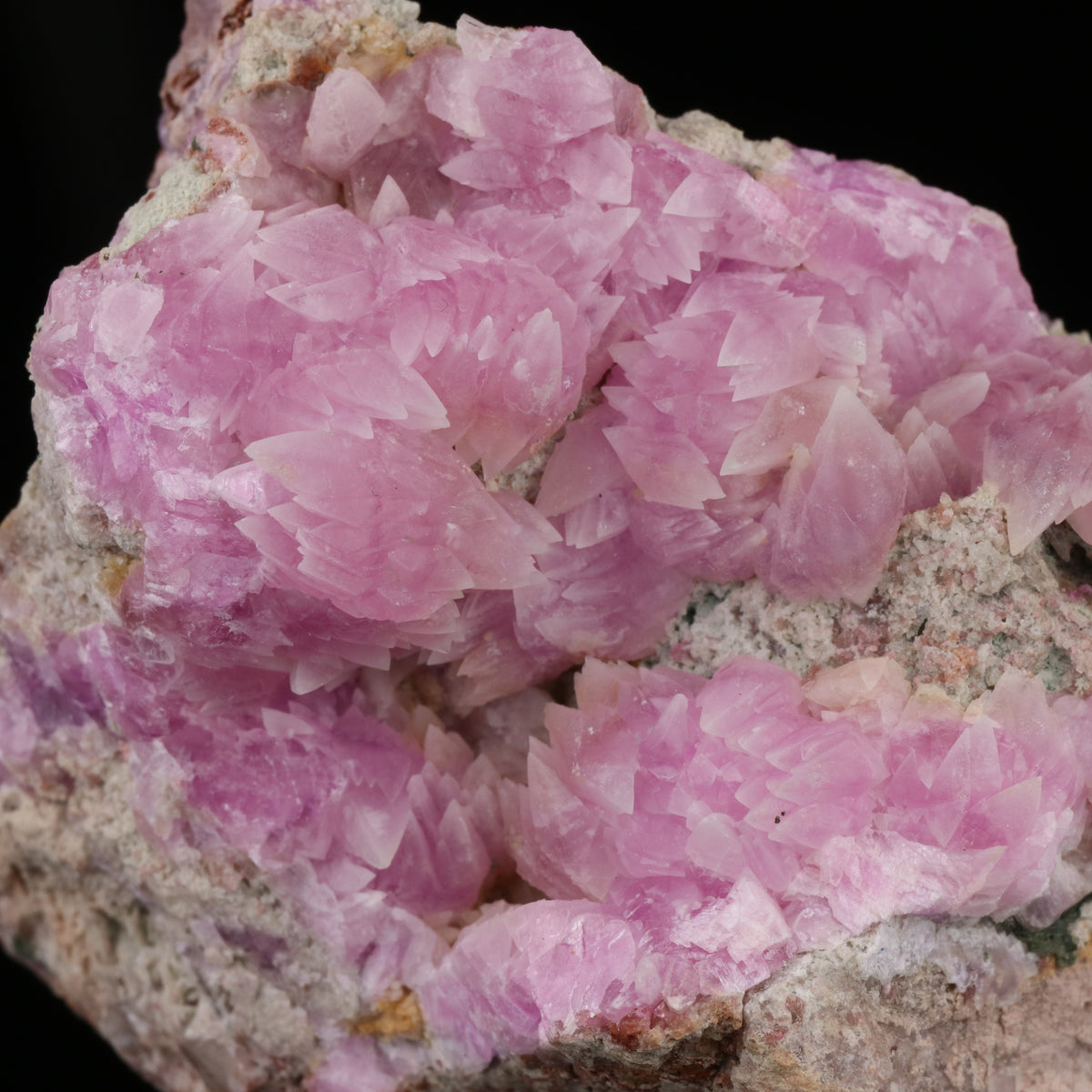 Cobaltoan Calcite