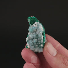 Quartz on Shattuckite & Dioptase - video 1