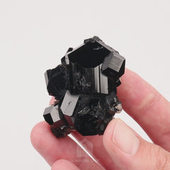 Schorl - video 1