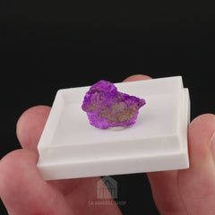 Sugilite (2015 Find) - video 1